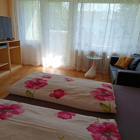 Offenburg Apartment Eksteriør billede