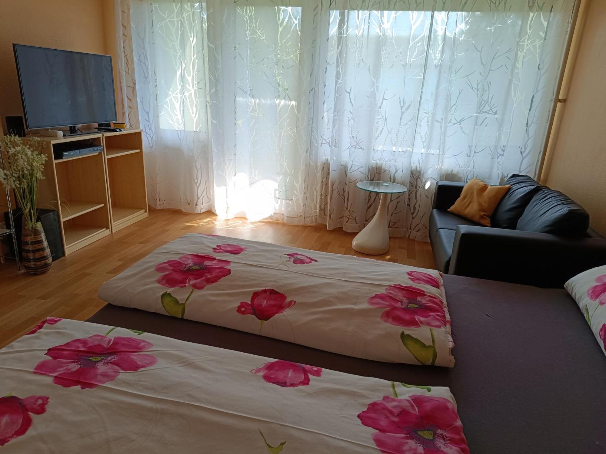 Offenburg Apartment Eksteriør billede